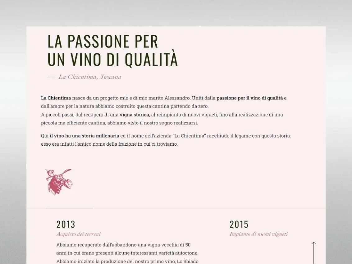 sito web azienda vinicola toscana adp webdesign